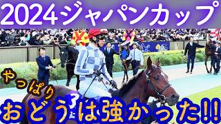 【旅するインコが】🐎 2024年 ジャパンカップを見てきたよ!!   ドウデュースが勝利!! 　THE JAPAN CUP  TOKYO RACECOURSE