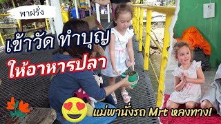 พาฝรั่งเข้าวัดทำบุญ ให้อาหารปลา/ โอ้โห..บางกอก นั่ง Mrt หลงทางจนมึน #สะใภ้เยอรมัน #กรุงเทพ #คนใต้