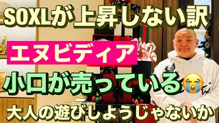 SOXLが上昇しない訳🔥 エヌビディア小口が売っている😭2025/2/1（土）大人の遊びしょうじゃないか!現物米株取引は大人の嗜みです😇