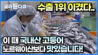 날이 쌀쌀해지기 시작하는 때 제일 맛있다는 국내산 고등어 가공 현장!│2.5초에 10마리 작업해야하는 24시간도 모자란 고등어 공장│극한직업│#골라듄다큐