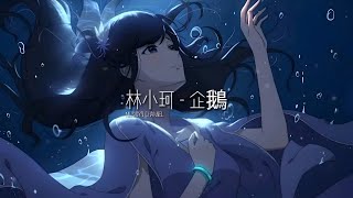 林小珂 - 企鵝 | 戴上耳机好好享受Ba 動態歌詞Lyrics ♬ 完整版~