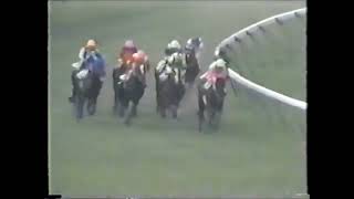 第３５回　毎日王冠 （ＧⅡ）　カツラギエース　牡４　59　西浦勝一　1984.10.7　　出走馬：ミスターシービー、サンオーイ、トウショウペガサス、ダスゲニー、ダイナカール、ミサキネバアー他