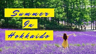 Summer in Hokkaido  (Hokkaido Lavender)