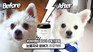 [아이엔비 후기] 강아지 눈물자국 없애기 / Pet Tearstain Remover(Eye Envy)