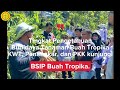 Tingkatkan Pengetahuan Budidaya Tanaman Buah Tropika KWT, Penangkar, PKK kunjungi BSIP Buah Tropika