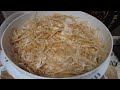 khmer usa homegrown oyster mushrooms growing and harvesting organic mushrooms from buckets