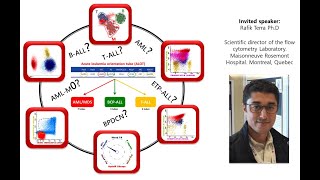 Impact of Standardized Flow Cytometry Protocols on the Diagnostic Accuracy of Acute Leukemias