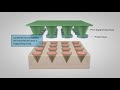 Additive Manufacturing of Core-Shell Microneedles