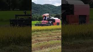 クボタハーベスター Kubota DC70 Plus Harvester | Country Harvester #419