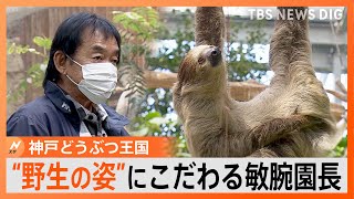 “野生”の姿にこだわる「神戸どうぶつ王国」の敏腕園長【ゲキ推しさん/Nスタ】｜TBS NEWS DIG