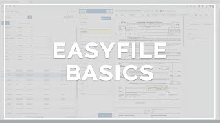 EasyFile Basics