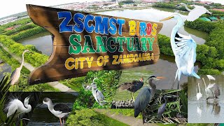 ZSCMST BIRDS Sanctuary Documentary