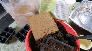 How to Prepare 250 gram Bricks of Coco Coir for Seed Starting: Inexpensive \u0026 Effective - TRG 2015