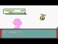 pokemon emerald boss rush new gba hack rom you can buy pokemon candy challenge the gyms