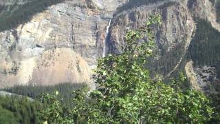 Iceline Trail Yoho National Park