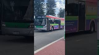 RARE Transperth TP2588 pride bus spotted in Fremantle station #transperth