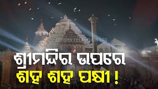 Cyclone Dana | Several Migratory Birds Flying Over Puri Srimandir Leave Devotees Astonished