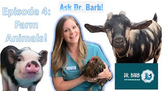 Why do pigs roll in the mud? | Ask Dr. Barb! Episode 4: Farm Animals 🐷🐥🐐