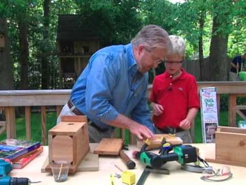 How to Make a Bird Sanctuary in the Backyard How to Make a Bird Sanctuary in the Backyard