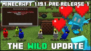 Minecraft 1.19.1 - Pre-Release 1 - Allay Duplication Nerfed & Realms Bans!