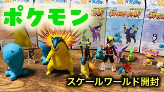 【ポケモン】スケールワールドジョウトセットを開封していたらソーナンス2体入ってた！？（3人）