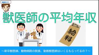 獣医師の平均年収、給料　〜新卒獣医師、動物病院の院長、勤務獣医師はいくらもらってるの？〜【獣医監修】