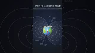 How does a compass work?