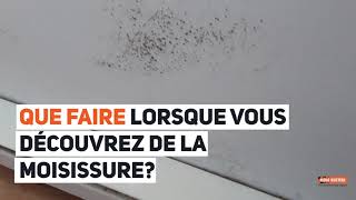 Décontamination et élimination de moisissure à Orleans, tests d’amiante et de la qualité de l’air