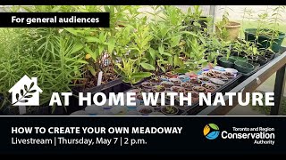 The Meadoway: A Greenhouse Tour