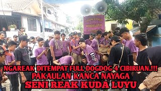 NGAREAK DITEMPAT FULL DOGDOG 4 CIBIRUAN.!!! PAKAULAN KANCA NAYAGA 💥LINGKUNG SENI REAK KUDA LUYU