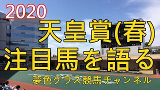 【注目馬を語る】2020天皇賞春！キセキはスタートを出る？出ない？私の予想は・・・。展開のカギを握る馬にゲート不安は難しいレースに。