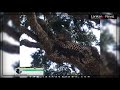 hungry leopard at the yala national park. hunting gone wrong caught on camera