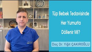 Tüp bebek Tedavisinde Her Yumurta Döllenir mi?