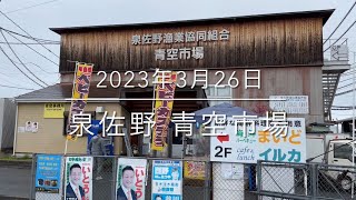 【泉佐野漁港 青空市場】大漁鮮魚の叩き売り『朝市の魅力』圧巻の光景