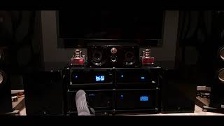 High End: AGD Audion Monoblocks. Probably the best Class D amps in the World!