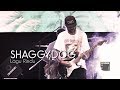 SHAGGYDOG - Lagu Rindu Live at Diplo FEST Lapangan Pancasila UGM Yogyakarta