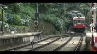 昼のあじさい電車（箱根登山鉄道）