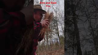 Flint and Steel Fire #survival #firesidechat #bushcraft #fire #outdoors #camping