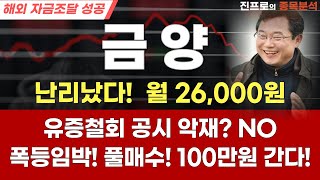 [금양] 긴급! 4500억 유상증자 철회! 불성실공시법인 지정? #금양 #금양주가전망 #금양매도가 #금양리튬광산 #대박주 #포스코홀딩스 #진프로