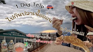 One day trip อุดร-ขอนแก่น /ไปกินปลาเนื้ออ่อนตัวใหญ่มาก /เรื่องแปลก  เลือดกลายเป็นกรวดจริงเหรอ ?