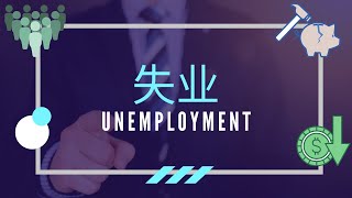 【经济学课程】 第十七课 || Unemployment 失业