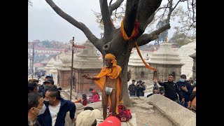 महाशिवरात्रिको पूर्व सन्ध्यामा पशुपति मन्दिर परिसरमा यस्तो देखियो (भिडियो हेर्नुहोस)