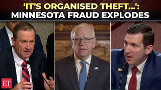 ‘Federal govt LOSES A TRILLION DOLLARS yearly in fraud!': Explosive Minnesota testimony rocks Senate