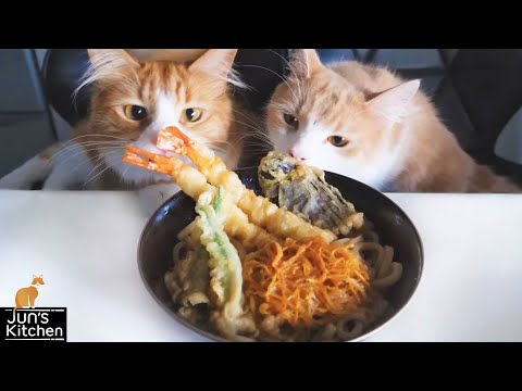 Tempura Udon Noodles Tempura Udon Noodles