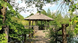 Arboretum Leśne w Stradomi