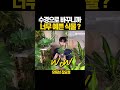 수경재배로 바꾸니까 너무 예쁜 식물 shorts