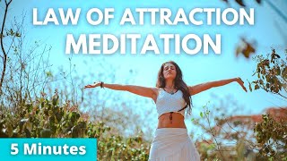 Law of Attraction Meditation 5 Minutes | Attract the Life of Your Dreams