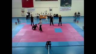 İSDCO Pars Taktik / Krav Maga /Kapap Gösteri Demostration 2011 Şevki ERDOĞAN