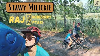 Skradną Ci serce - Stawy Milickie rowerem