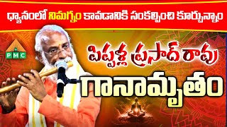 ధ్యానంలో నిమగ్నం కావడానికి సంకల్పించి కూర్చున్నాం | PIPPALLA PRASADRAO | PDMY 3 | Day 3 | PMC Telugu